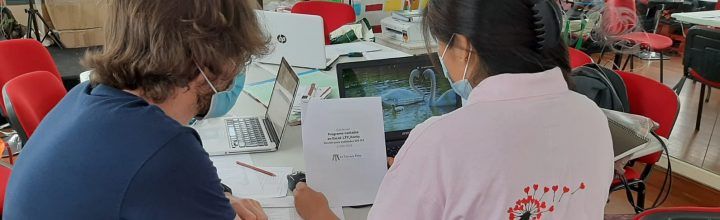 Holistic Bloom y HUEPT: dos procesos de puesta en marcha de contabilidad Holistic Bloom y HUEPT: dos procesos de puesta en marcha de contabilidad